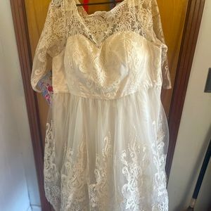 Plus size, knee length wedding dress.